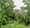 Aged tile-roofed houses in woods after summer rain