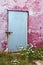 Aged wall door wild carrot flowers Formentera