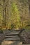 Aged wooden beams that make a path in woods. Taking a walk in the woods