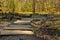 Aged wooden beams that make a path in woods. Taking a walk in the woods