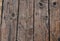 Aged worn timber boards on a pier - background texture