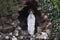 Agentina, virgin mary of the grotto of lourdes sanctuary of the city of mar del plata inspired by the original of france, replica