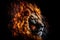 Aggressive angry Lion with big teeth on dark background with fire, Generative AI