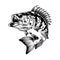 Aggressive bass fish monochrome template