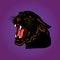 Aggressive Black Panther with open mouth, cartoon on a purple ba