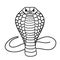 Aggressive cobra.. Black and white vector illustration hand drawn. Classic image of the snake is isolated