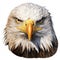 Aggressive Digital Illustration Of Bald Eagle Head - American Iconography