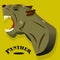 Aggressive gray panther close-up, banner for a site on a yellow background