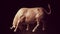 Aggressive Muscular Bull Wild Big Animal Horns Financial Symbol Left View