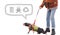 Aggressive, reactive dog on the leash against isolated background with speech bubble.