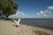 An aggressive swan on a beach