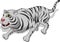 Aggressive white tiger cartoon