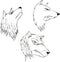 Aggressive wolf heads