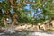 Agia Napa monastery courtyard entrance in Cyprus 3