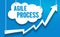 Agile Process Development
