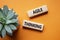 Agile Thinking symbol. Wooden blocks with words Agile Thinking. Beautiful orange background with succulent plant. Business and