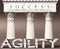 Agility as a foundation of success - symbolized by pillars of success supported by Agility to show that it is essential for