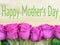 Aging bright pink rose petals forming a border on a rustic wooden background for mothers day