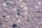 Aging concrete slab, top view, background, texture