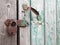 Aging door from boards with padlocks from ferric