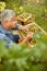 Aging farmer trying some ripe grapes from his vineyard