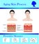 Aging skin process and preventive tipps, vector illustration