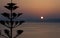 Agios Nikolaos dawn