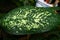 aglonema leaves with white and green texture