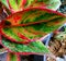 Aglonema Red Siam Aurora is a type of red aglaonema that has a timeless beauty