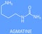 Agmatine or 4-aminobutylguanidine molecule. Skeletal formula. Chemical structure