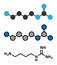 Agmatine molecule. Stylized 2D renderings and conventional skeletal formula