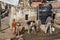 Agra, India-April 14, 2017: poor quarters of the city of Agra, lack of drinking water, people stand in line for water