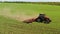 Agrarian, agricultural machinery, work in the field. Aerial photography.