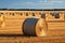 Agrarian landscape Hay bales scattered across a golden field