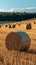 Agrarian landscape Hay bales scattered across a golden field