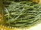 agretti (Salsola soda) vegetables food