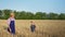 Agribusiness, male child runs to hug his elderly grandfather farmer wearing hat holding ears of wheat while walking