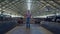 Agribusiness owner walking cowshed between rows livestock stalls checking cows.