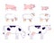 Agricultural animals flat vector illustration. Livestock farming, domestic animals husbandry design elements with