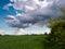 Agricultural area, field with sown crops for food production, wheat growing in the countryside, cloudy day in nature. Ripening