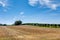 Agricultural area in Germany