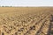 Agricultural Background Of Newly Plowed Field Furrows Ready For New Crops.