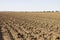 Agricultural Background Of Newly Plowed Field Furrows Ready For New Crops.