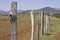 An agricultural barbed wire fence