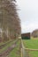 Agricultural barn building in UK on smallholding field with row of trees.