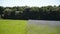 Agricultural blue cornflower field