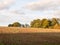 Agricultural brown ploughed field empty tree line sky sunlight s