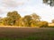 Agricultural brown ploughed field empty tree line sky sunlight s