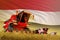 Agricultural combine harvester working on rye field with Egypt flag background, food production concept - industrial 3D