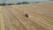 Agricultural Combine Machine Harvester Of Grain Crops On Rural Field Aerial View